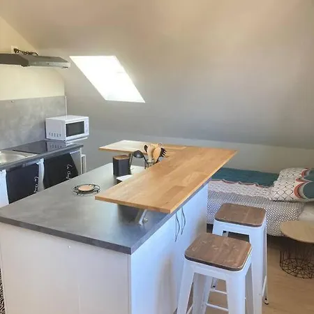 Studio- Un Cocon Sous Les Toits- Apartment
