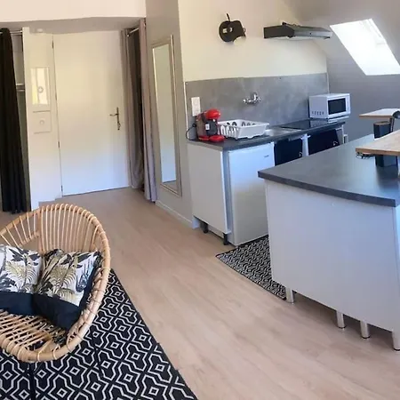 Apartment Studio- Un Cocon Sous Les Toits-